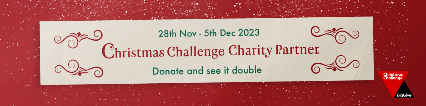Big Give Christmas Challenge header.png